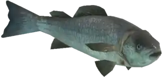 a_c_fish ped model in GTA 5