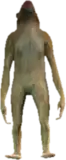 a_c_rhesus ped model in GTA 5