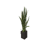 apa_mp_h_acc_plant_tall_01 GTA 5 prop model