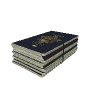 bkr_prop_fakeid_bundlepassports GTA 5 prop model