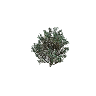 h4_prop_bush_boxwood_med_01 GTA 5 prop model
