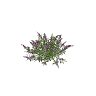 h4_prop_bush_buddleia_sml_01 GTA 5 prop model
