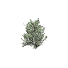 h4_prop_bush_cocaplant_01 GTA 5 prop model