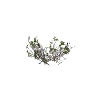 h4_prop_bush_mang_ac GTA 5 prop model