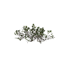 h4_prop_bush_mang_lg_aa GTA 5 prop model