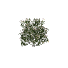 h4_prop_bush_olndr_white_lrg GTA 5 prop model
