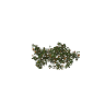 h4_prop_bush_seagrape_low_01 GTA 5 prop model