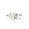 h4_prop_grass_med_01 GTA 5 prop model
