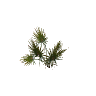 Palmeto Sap Ac (h4_prop_palmeto_sap_ac) FiveM inventory icon