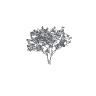 h4_prop_tree_blk_mgrv_lrg_01 GTA 5 prop model