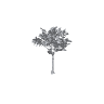 h4_prop_tree_blk_mgrv_lrg_02 GTA 5 prop model