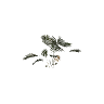 h4_prop_tree_palm_areca_sap_02 GTA 5 prop model