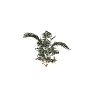 h4_prop_tree_palm_areca_sap_03 GTA 5 prop model