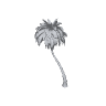 h4_prop_tree_palm_fan_bea_03b GTA 5 prop model