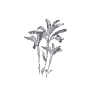 h4_prop_tree_palm_trvlr_03 GTA 5 prop model