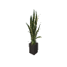 hei_heist_acc_plant_tall_01 GTA 5 prop model