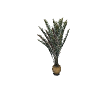 m24_1_prop_m41_palmplant_01a GTA 5 prop model