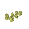 m25_1_prop_m51_weed_set_01a GTA 5 prop model