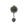 m25_2_prop_m52_art_plant_01a GTA 5 prop model