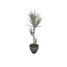m25_2_prop_m52_art_plant_07a GTA 5 prop model