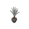 m25_2_prop_m52_art_plant_08a GTA 5 prop model