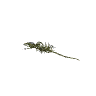 p_seabed_whalebones GTA 5 prop model