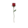 p_single_rose_s GTA 5 prop model