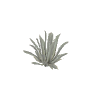 prop_agave_01 GTA 5 prop model