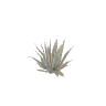 prop_agave_02 GTA 5 prop model