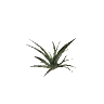 prop_aloevera_01 GTA 5 prop model