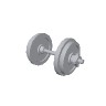 prop_barbell_01 GTA 5 prop model
