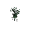 prop_bush_ivy_01_pot GTA 5 prop model