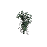prop_bush_ivy_02_pot GTA 5 prop model