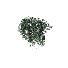 prop_bush_ivy_02_top GTA 5 prop model