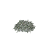 prop_bush_lrg_01 GTA 5 prop model