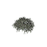 prop_bush_lrg_01e GTA 5 prop model