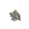 prop_bush_lrg_02 GTA 5 prop model