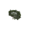 prop_bush_lrg_04b GTA 5 prop model