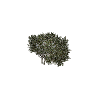 prop_bush_lrg_04c GTA 5 prop model