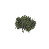 prop_bush_lrg_04d GTA 5 prop model