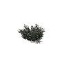 prop_bush_med_01 GTA 5 prop model