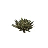 prop_bush_med_02 GTA 5 prop model