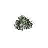 prop_bush_med_03 GTA 5 prop model