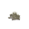 prop_bush_med_05 GTA 5 prop model