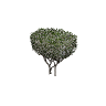 prop_bush_neat_01 GTA 5 prop model