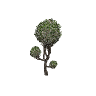 prop_bush_neat_02 GTA 5 prop model