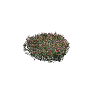 prop_bush_neat_06 GTA 5 prop model
