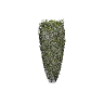 prop_bush_neat_08 GTA 5 prop model