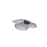 prop_coral_flat_clam GTA 5 prop model