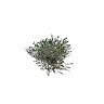 prop_creosote_b_01 GTA 5 prop model